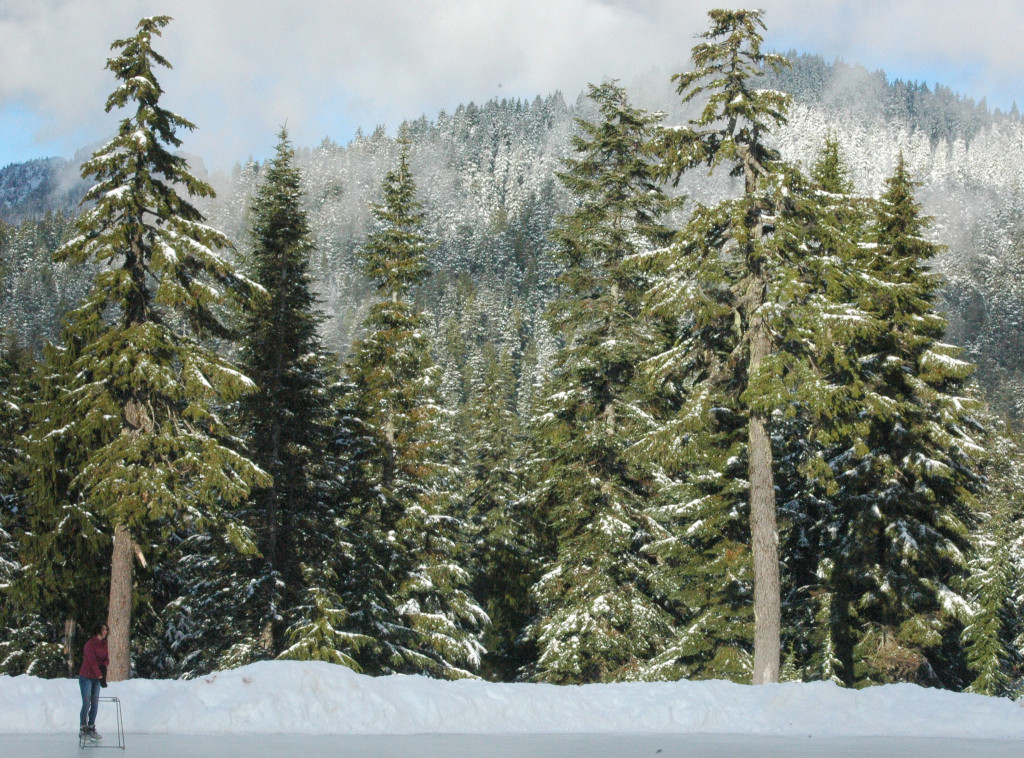 British Columbia Grouse Mountain Vancouver travellivelearn.com