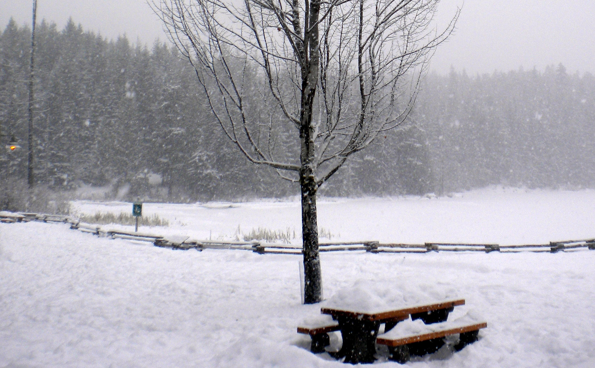 Wonderful Whistler in Canada