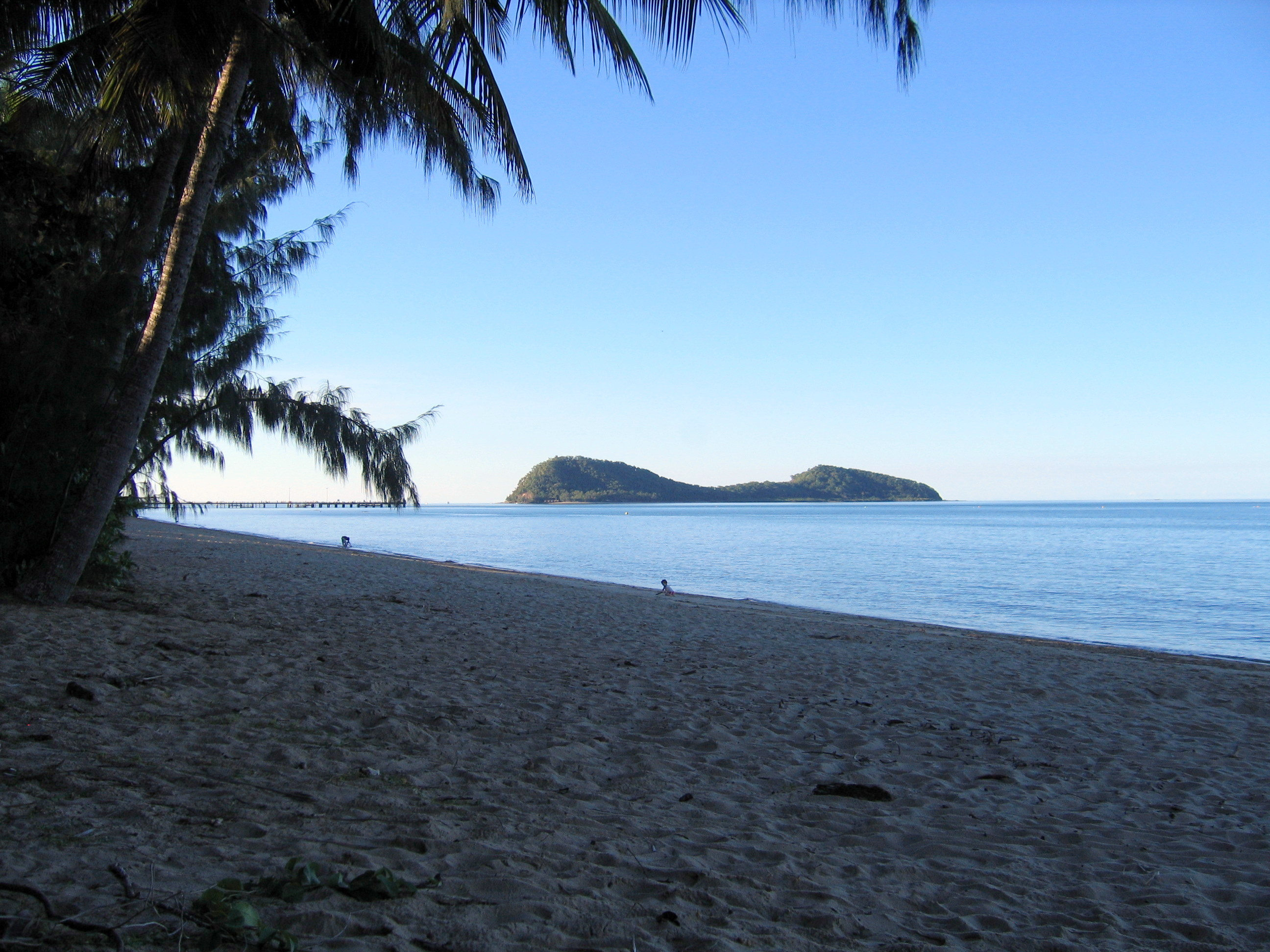 Palm Cove and an army of brides