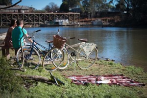 Port Picnic Bike-1MR c