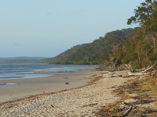 Beach fraser coast