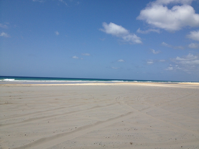 Sandy beach coast