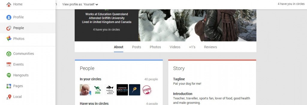 How to Google Plus for Beginners-8