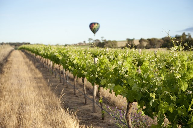 Hot air ballooning 