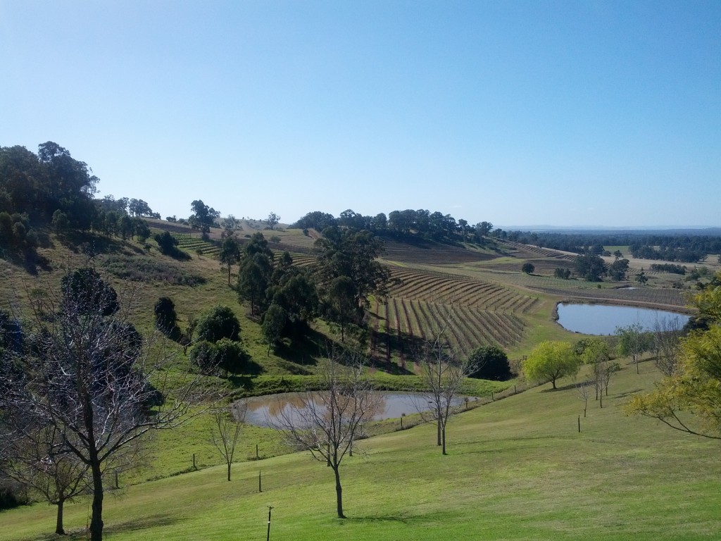 Hunter Valley romantic getaway - Bistro Molines - vineyard views