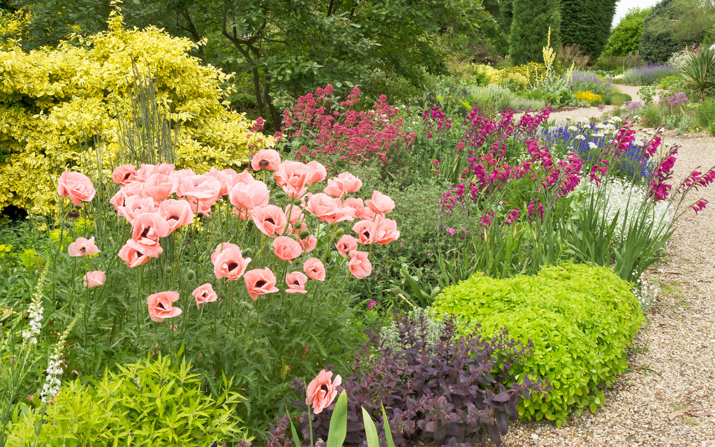 Abundance garden