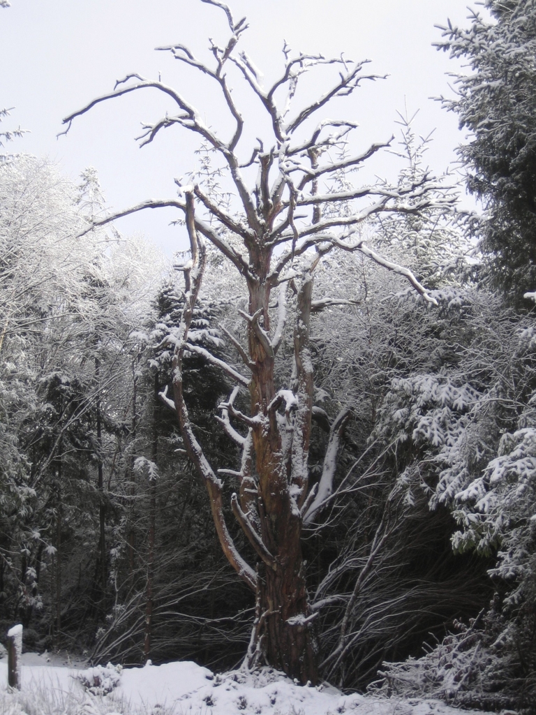 best winter walks in Devon