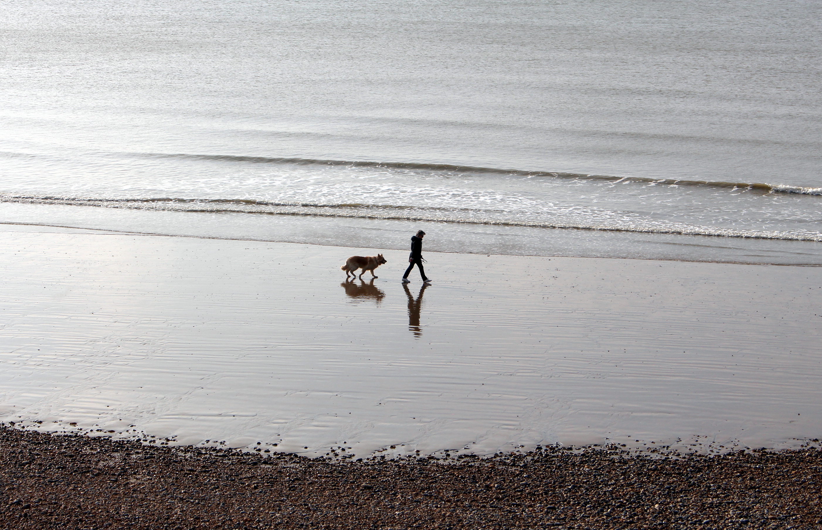 Pet Friendly travel in Australia