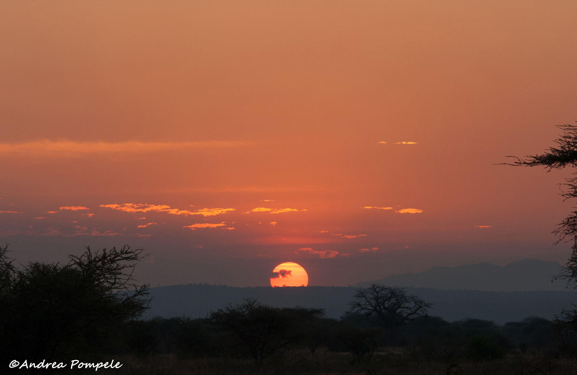 Africa conservation adventure sunset travellivelearn.com