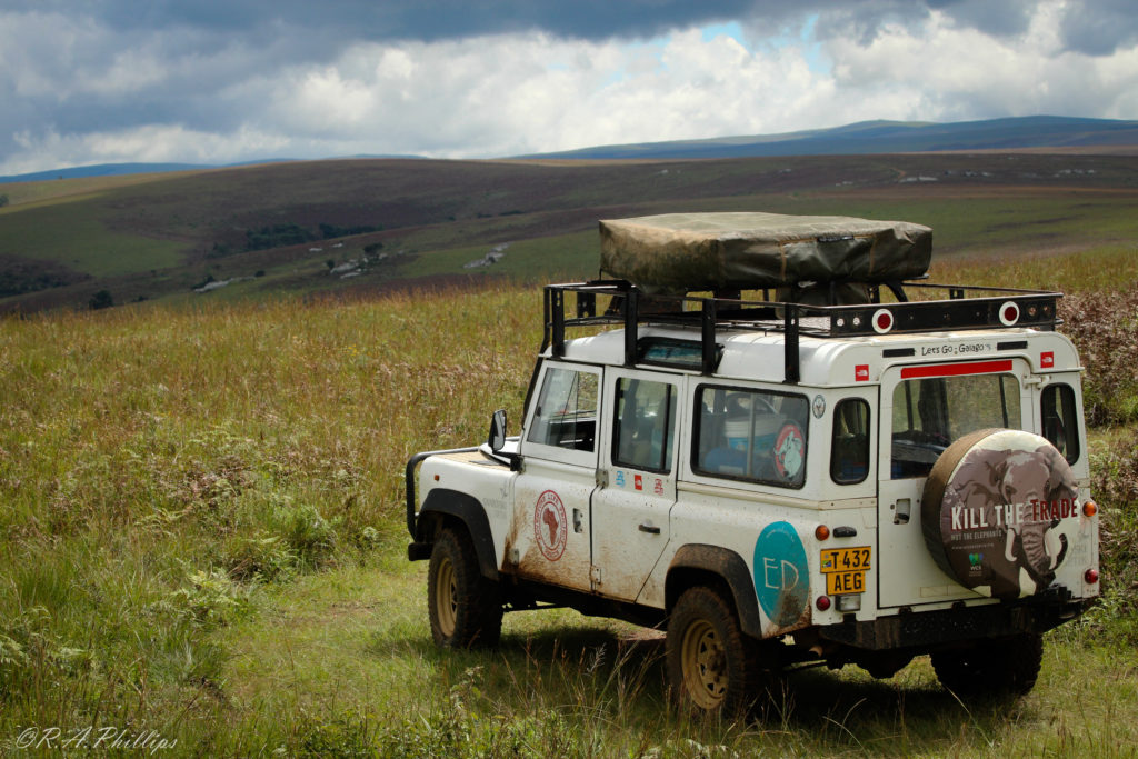 africa-galago-in-the-highlands-of-malawi-rebecca-phillips-and-andrea-pompele-travellivelearn-com