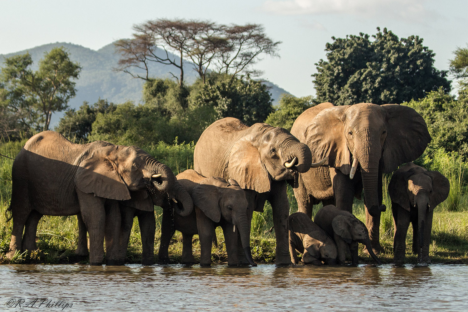 An expedition across southern Africa