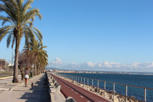 Christmas in Mallorca winter in the Balearic Islands Majorca in Spain Christmas in Mallorca winter in the Balearic Islands Majorca in Spain