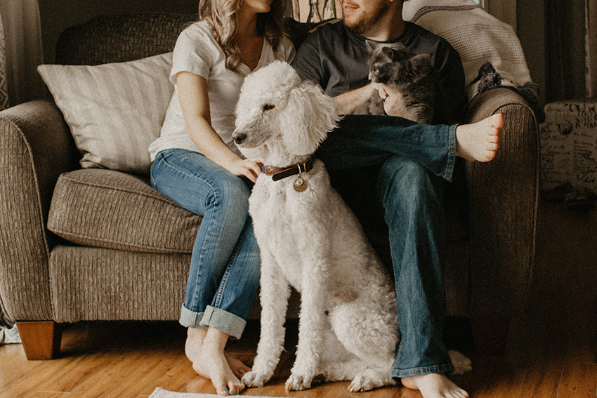 4 Types of House Sitting Jobs UK and How to Get Them – 2025 Update