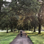 Northampton train station and destination guide (England) - walking in Abington park house and dog sittng