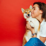 In home pet boarding sitter's guide to dog care