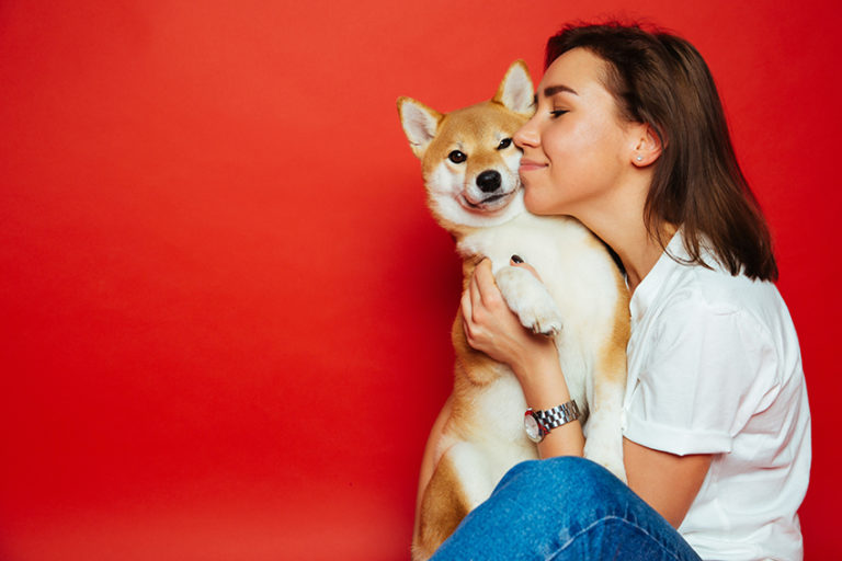 In home pet boarding sitter's guide to dog care