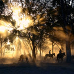 Experience the real Australian outback and many local experience when house sitting