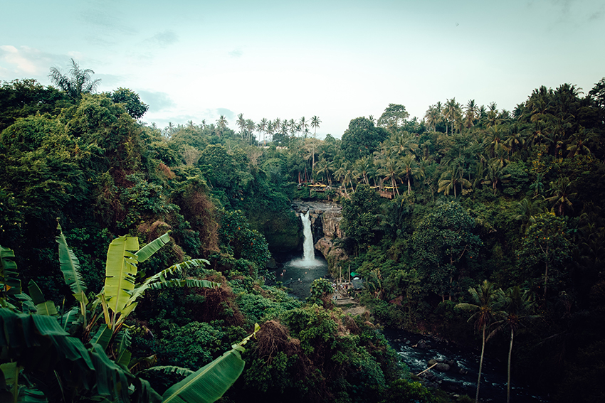 Tourism trends 2020 explore the rainforests in the Carrebean