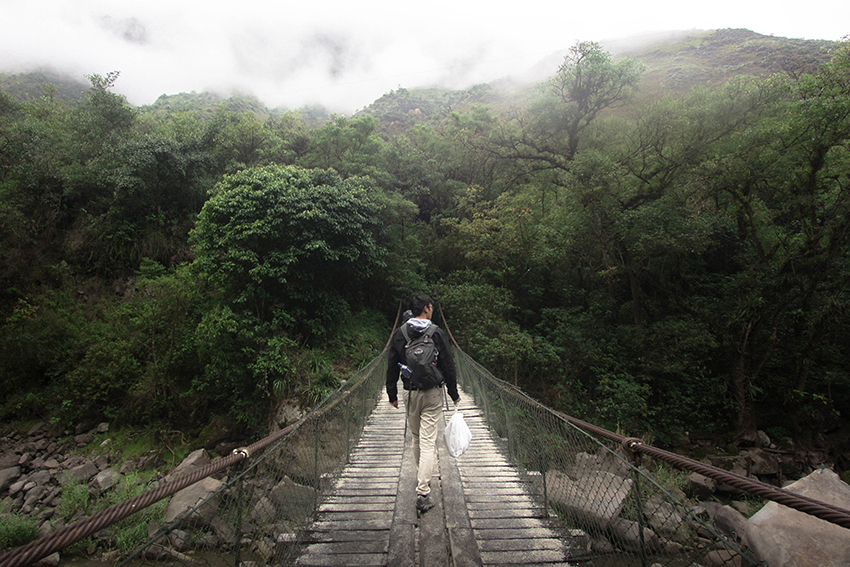 Tourism trends 2020 means more of us are hiking the world's most beautiful rainforests like here in South America