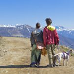 11 hacks for travelling with your dog