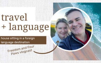 How to house sit in a foreign language destination