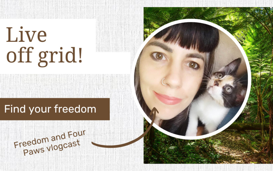 5 ways to make the most of off grid travel + house sitting