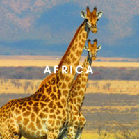 expat travel live learn africa